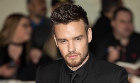 Liam Payne dan Rita Ora akan Kolaborasi